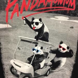 Meet your Posher, Terri